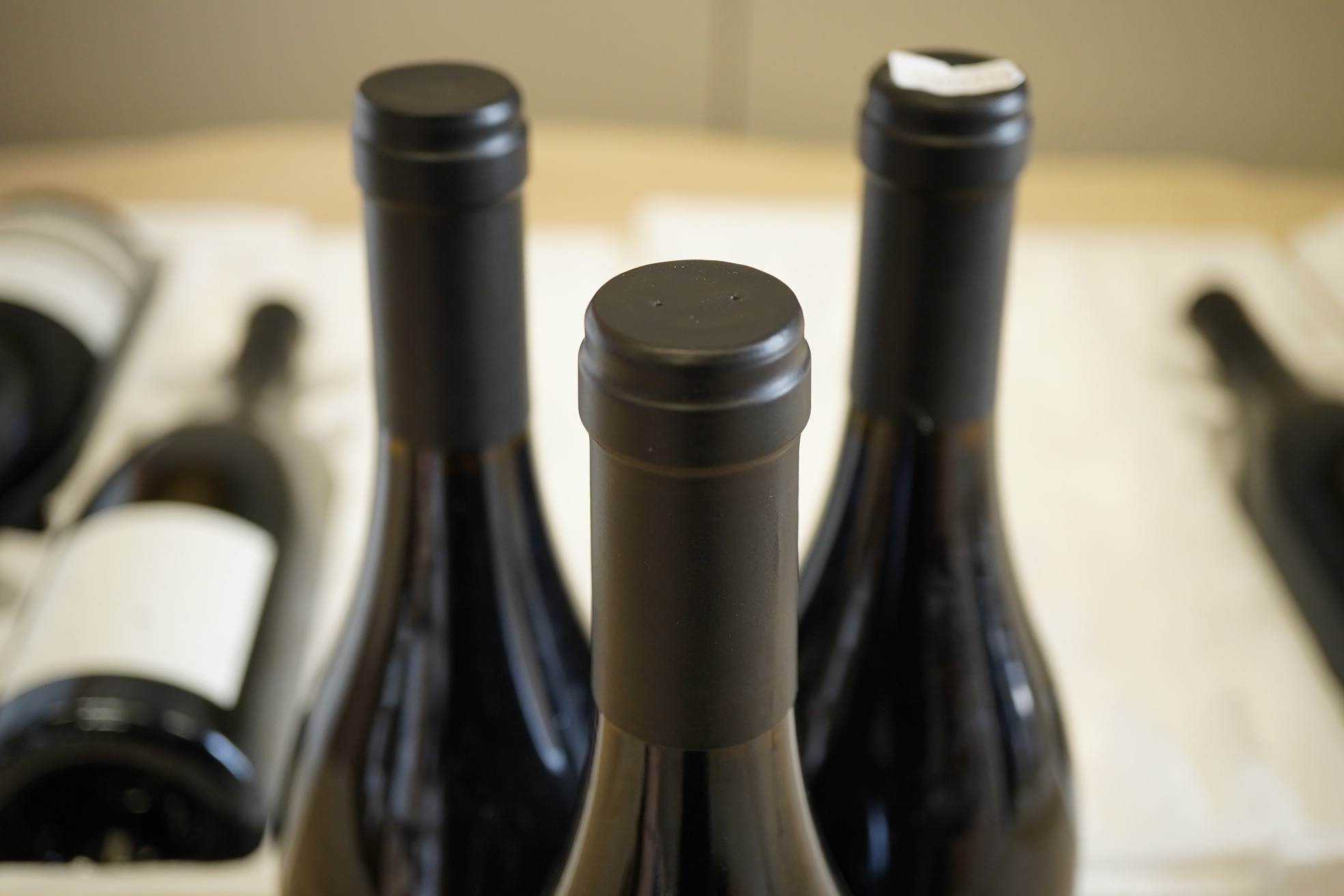M. Chapoutier & Laughton, Domaine Cambrien, La Pleiade Shiraz, 2010
